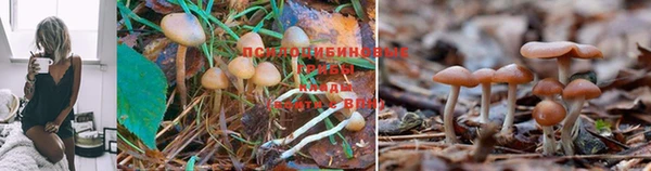 кокаин VHQ Богданович