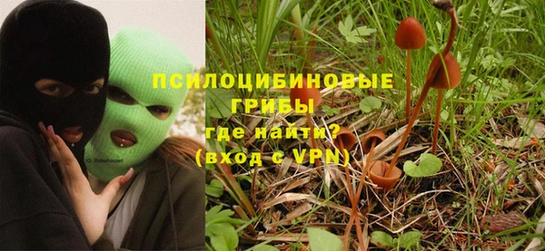 COCAINE Богородицк